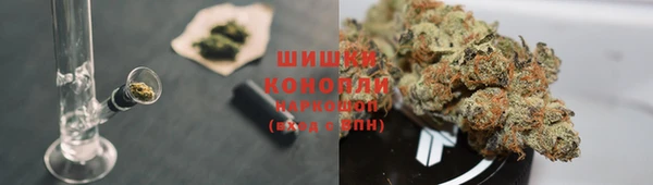 спиды Алзамай